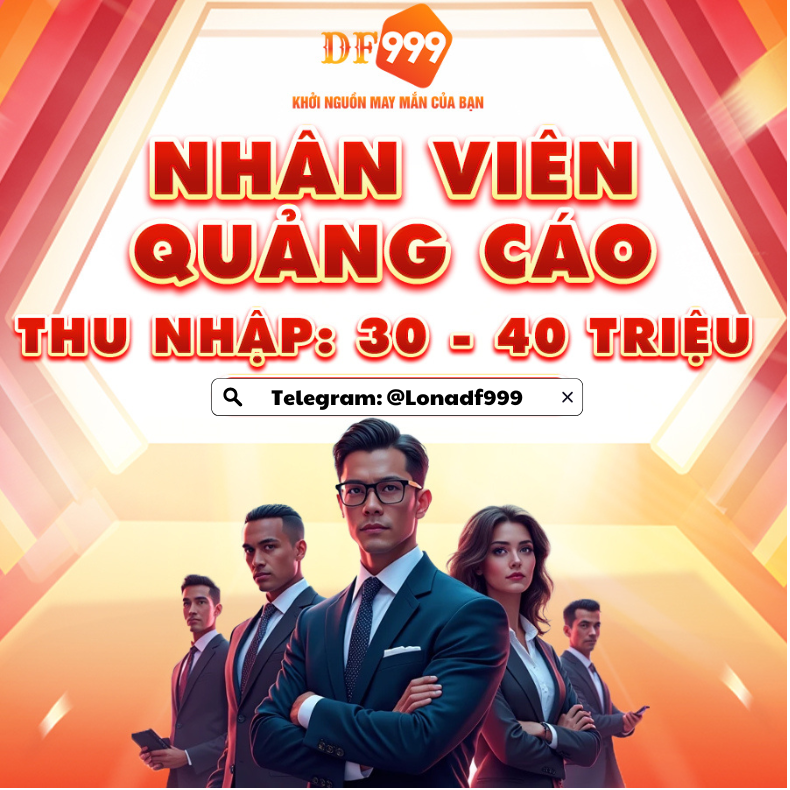 lĩnh vực hoạt động